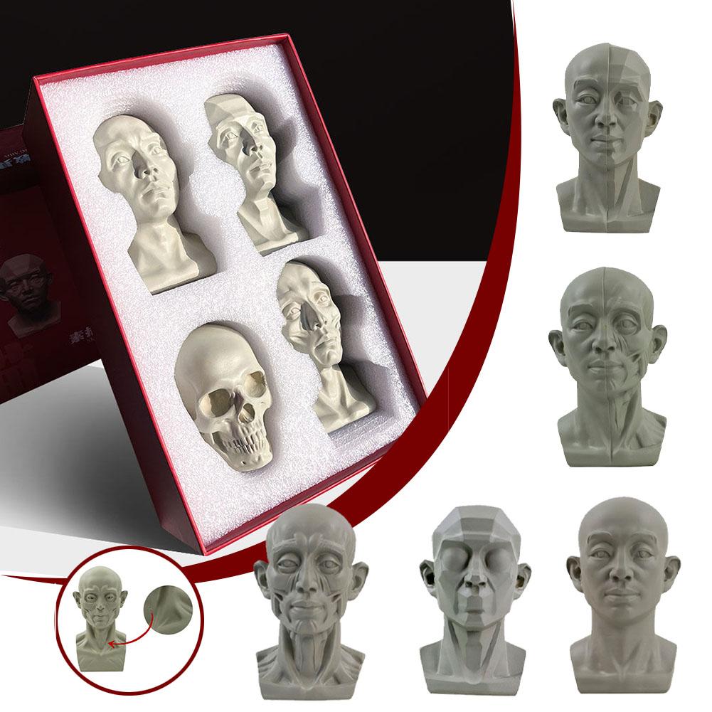 Resin Art Learning - Art Plaster Portrait ช่วยสอนจําลองแบนเครื่องมือปูนปลาสเตอร์ปฏิบัติ Sketch หัวเรซิ่น